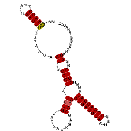 secondary structure