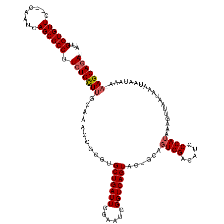 secondary structure