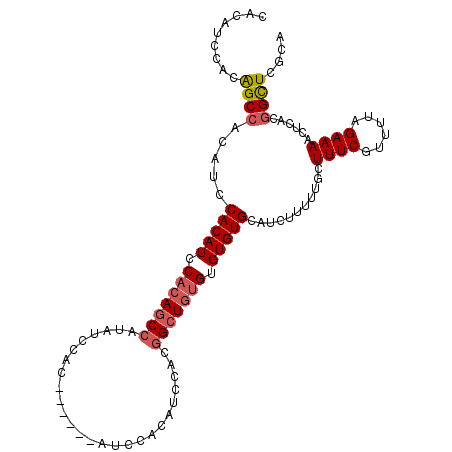 secondary structure
