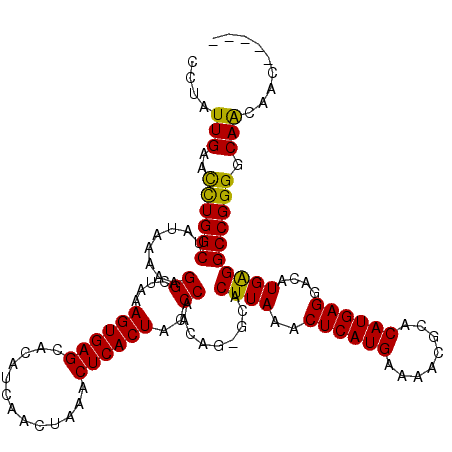 secondary structure