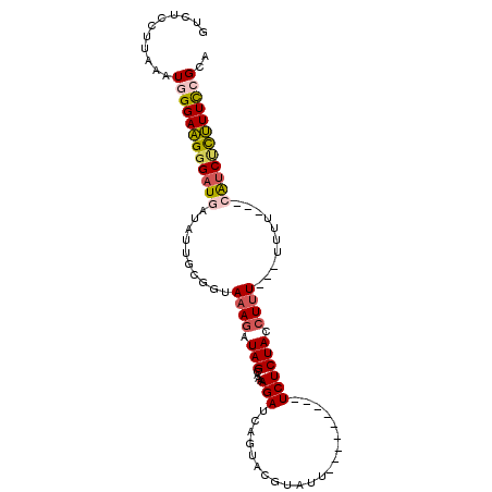 secondary structure