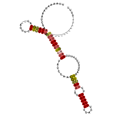 secondary structure
