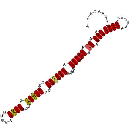 secondary structure