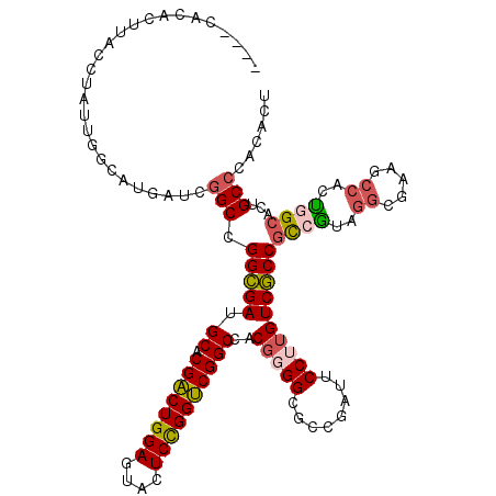 secondary structure