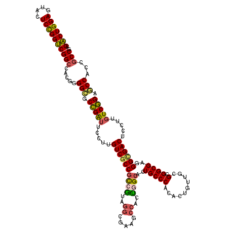 secondary structure