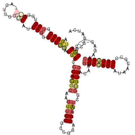 secondary structure