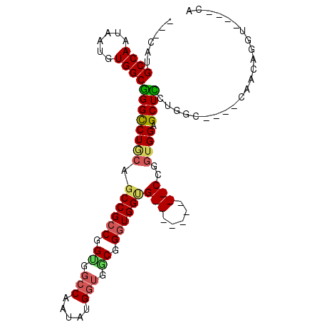 secondary structure