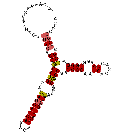 secondary structure