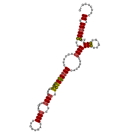 secondary structure