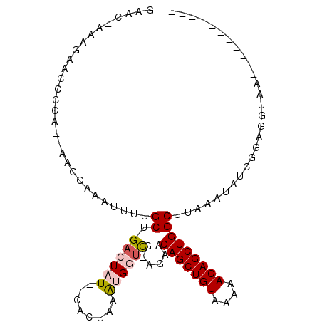 secondary structure