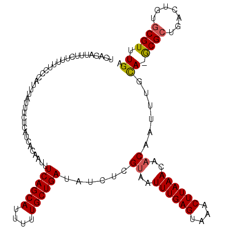 secondary structure
