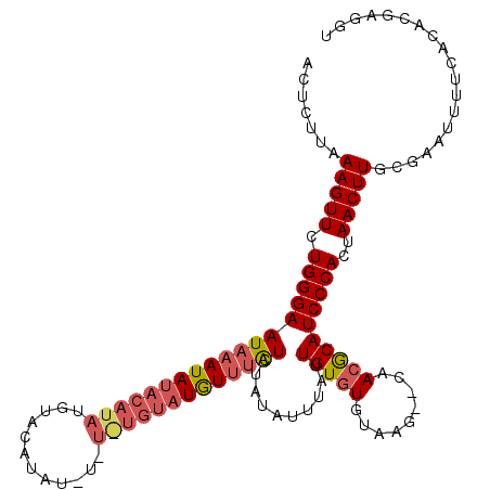 secondary structure