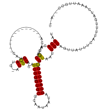 secondary structure