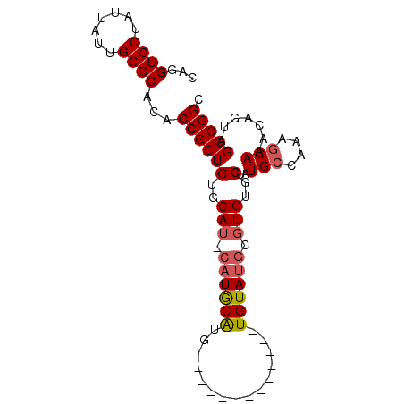 secondary structure