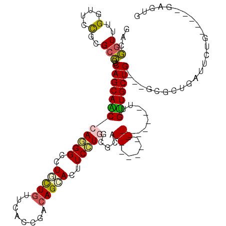 secondary structure