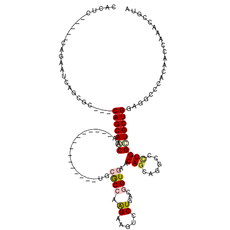 secondary structure