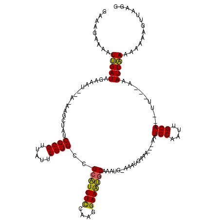 secondary structure