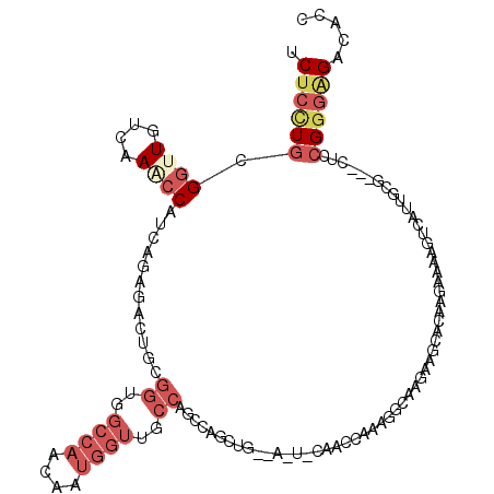 secondary structure