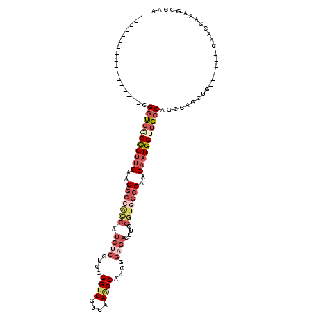 secondary structure