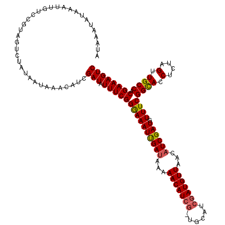 secondary structure