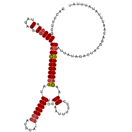 secondary structure