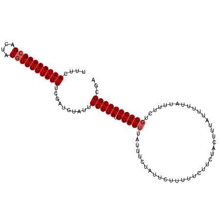 secondary structure