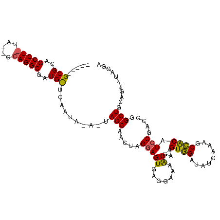 secondary structure