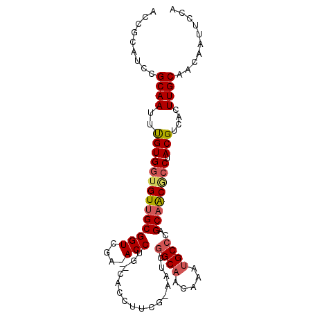 secondary structure