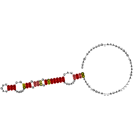 secondary structure