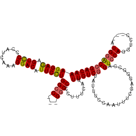 secondary structure