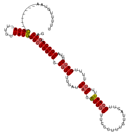 secondary structure