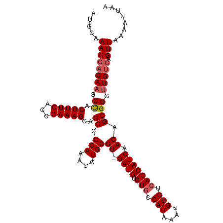 secondary structure