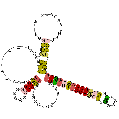 secondary structure