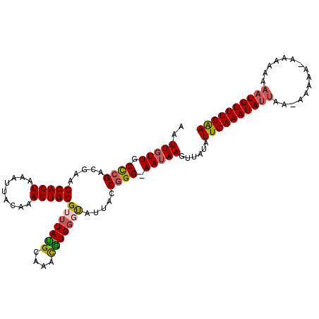 secondary structure