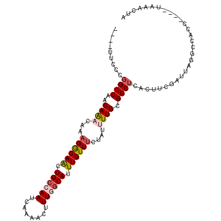 secondary structure