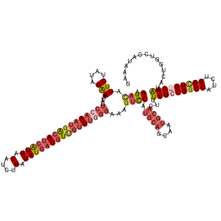 secondary structure