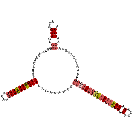 secondary structure