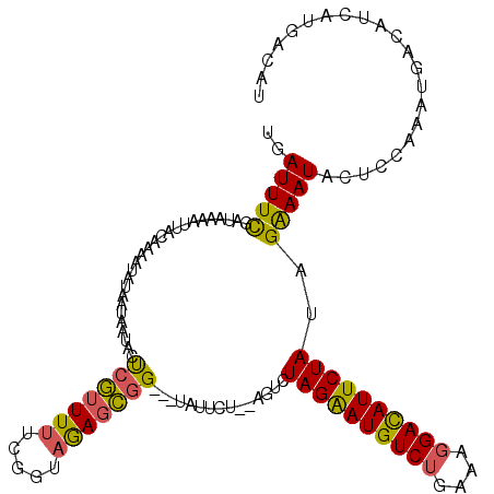 secondary structure