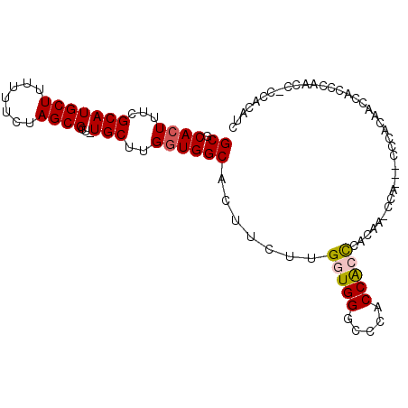 secondary structure
