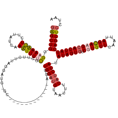 secondary structure
