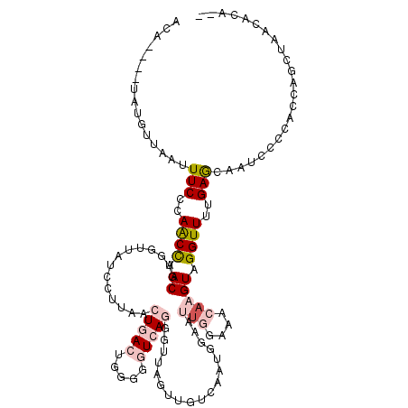 secondary structure