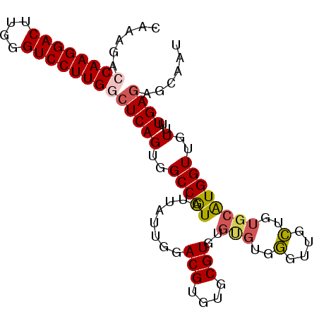secondary structure