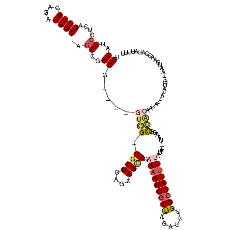 secondary structure
