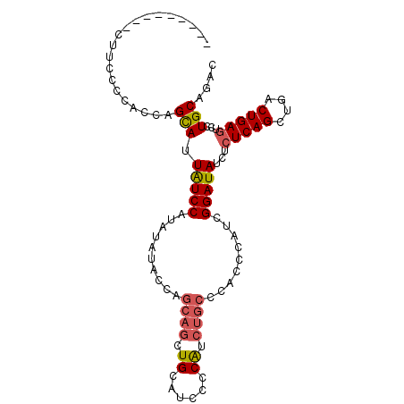 secondary structure