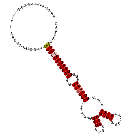 secondary structure