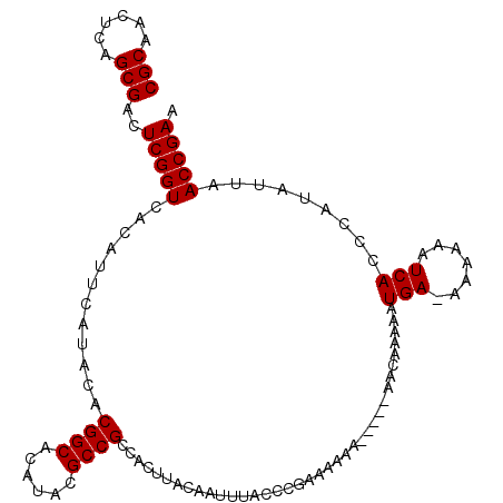 secondary structure