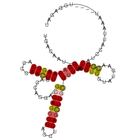 secondary structure
