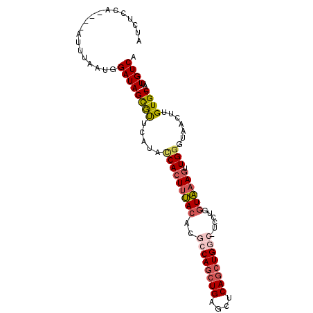 secondary structure