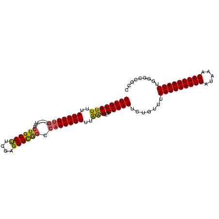 secondary structure