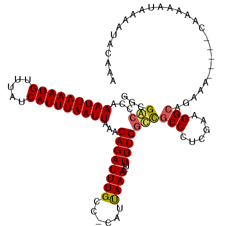 secondary structure